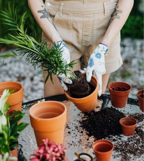 Ceramic Garden Pots - Image 2